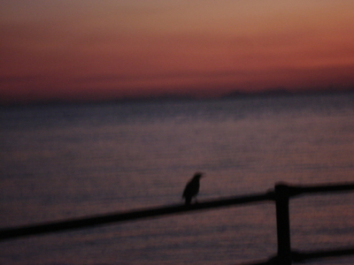 f:id:hatekota810:20091017183536j:image