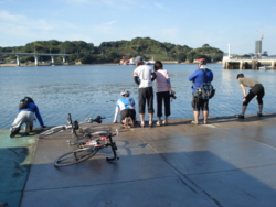 f:id:hatekota810:20091018074309j:image