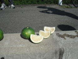 f:id:hatekota810:20091018081743j:image