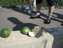 f:id:hatekota810:20091018081755j:image