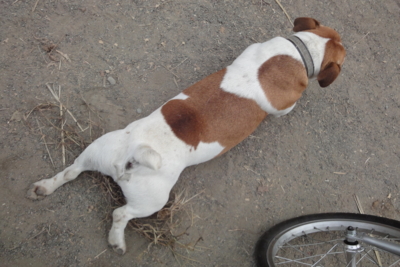 f:id:hatekota810:20091025181846j:image