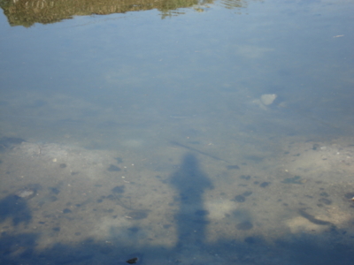 f:id:hatekota810:20091026052418j:image