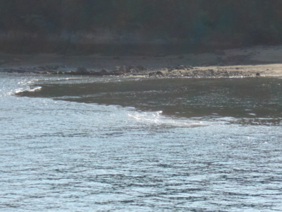 f:id:hatekota810:20091026052454j:image