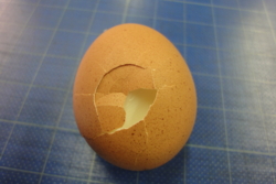 f:id:hatekota810:20091028074309j:image