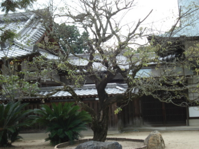 f:id:hatekota810:20091030053554j:image