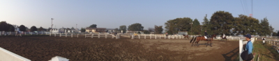 f:id:hatekota810:20091102052055j:image