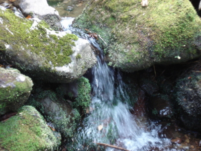 f:id:hatekota810:20091105195156j:image