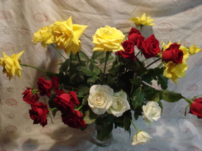 f:id:hatekota810:20091115200235j:image