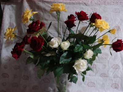 f:id:hatekota810:20091115200240j:image