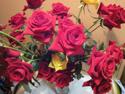f:id:hatekota810:20091117051901j:image
