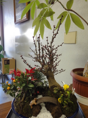 f:id:hatekota810:20091219220654j:image