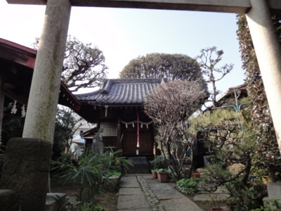 f:id:hatekota810:20091226192606j:image