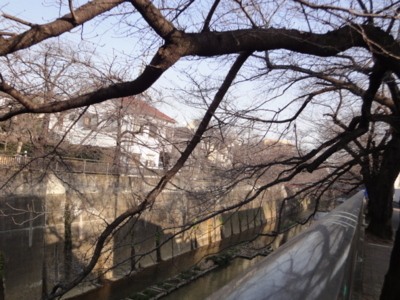 f:id:hatekota810:20091226193529j:image