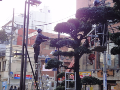 f:id:hatekota810:20091226200511j:image