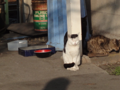 f:id:hatekota810:20091228030259j:image