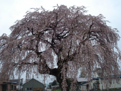 f:id:hatekota810:20091230192801j:image