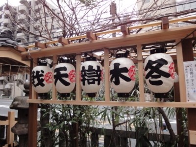 f:id:hatekota810:20100115215622j:image