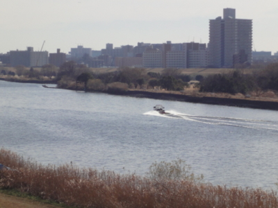 f:id:hatekota810:20100130075347j:image