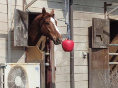 f:id:hatekota810:20100326053100j:image