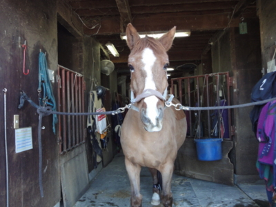 f:id:hatekota810:20100418183709j:image