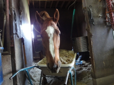 f:id:hatekota810:20100418183710j:image