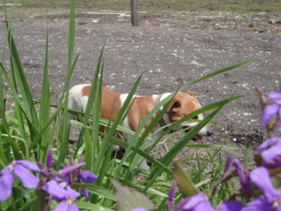 f:id:hatekota810:20100418184823j:image