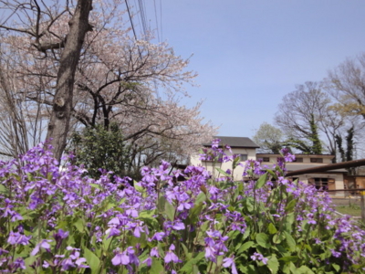 f:id:hatekota810:20100418185252j:image