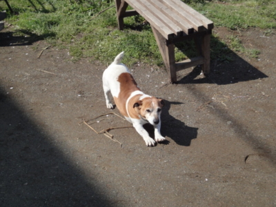 f:id:hatekota810:20100418185818j:image