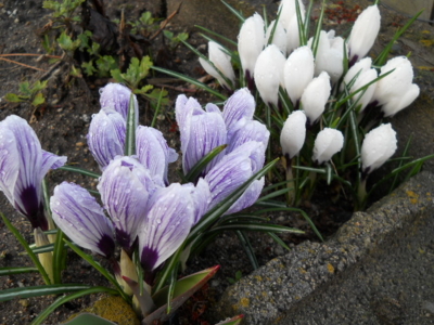 f:id:hatekota810:20100430190129j:image