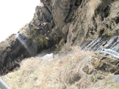 f:id:hatekota810:20100505172329j:image
