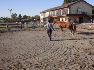 f:id:hatekota810:20100516073816j:image