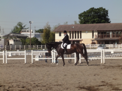 f:id:hatekota810:20100516073910j:image