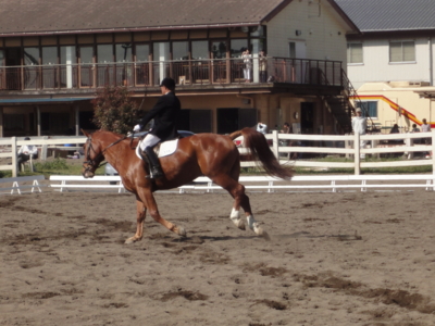 f:id:hatekota810:20100516074027j:image