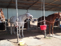 f:id:hatekota810:20100516074346j:image