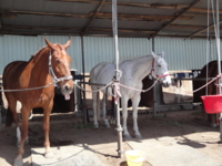 f:id:hatekota810:20100516074351j:image