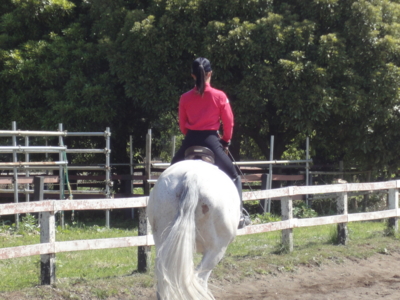 f:id:hatekota810:20100516074503j:image