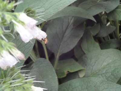 f:id:hatekota810:20100523121809j:image