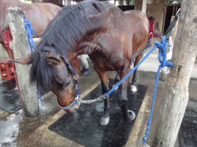 f:id:hatekota810:20100523121925j:image