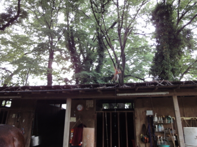 f:id:hatekota810:20100523123204j:image