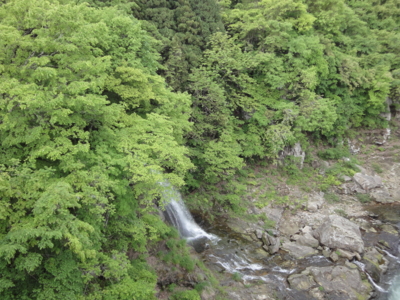 f:id:hatekota810:20100603201021j:image