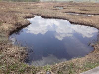 f:id:hatekota810:20100615200513j:image