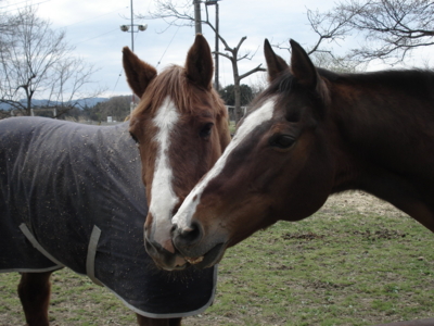 f:id:hatekota810:20100623201023j:image