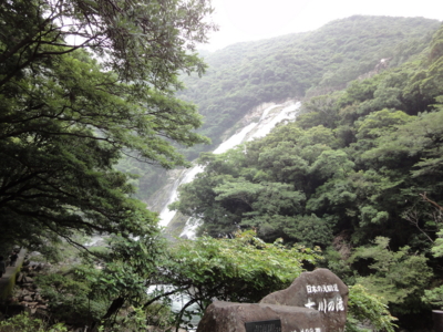 f:id:hatekota810:20100629220601j:image