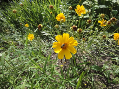 f:id:hatekota810:20100810194816j:image f:id:hatekota810:20100810194816j:image