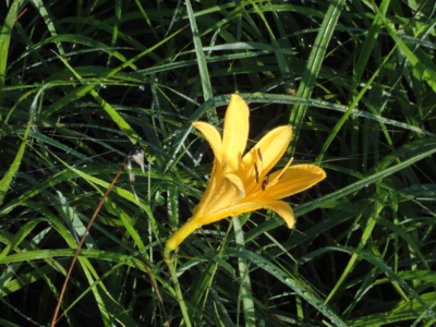 f:id:hatekota810:20100813191951j:image