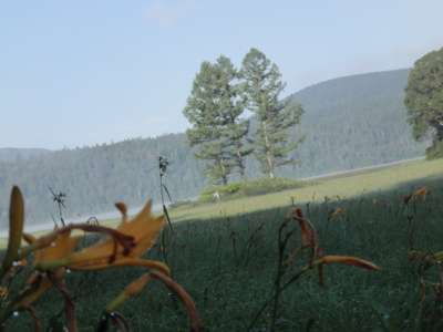 f:id:hatekota810:20100813193515j:image