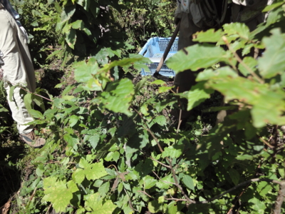 f:id:hatekota810:20100829072715j:image