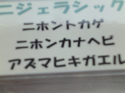 f:id:hatekota810:20100829072854j:image