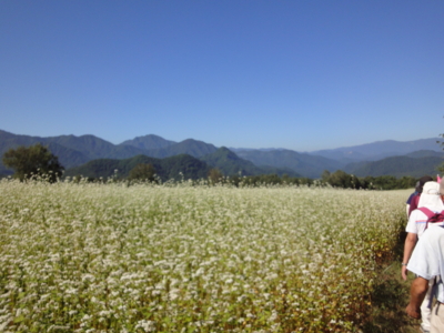 f:id:hatekota810:20100917194648j:image