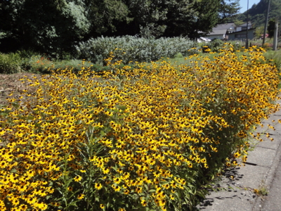 f:id:hatekota810:20100917200416j:image